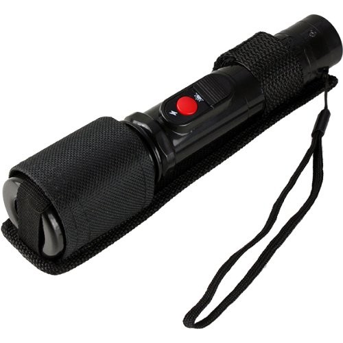 Stun Gun Flashlight holster